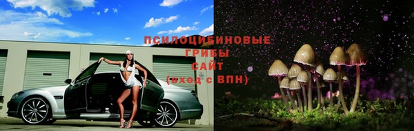 мет Абаза