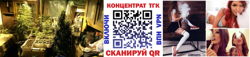 mega сайт  Новоалександровск  Дистиллят ТГК концентрат 
