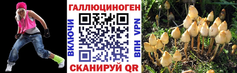 MEGA как зайти  цена   Новоалександровск  Псилоцибиновые грибы мухоморы 