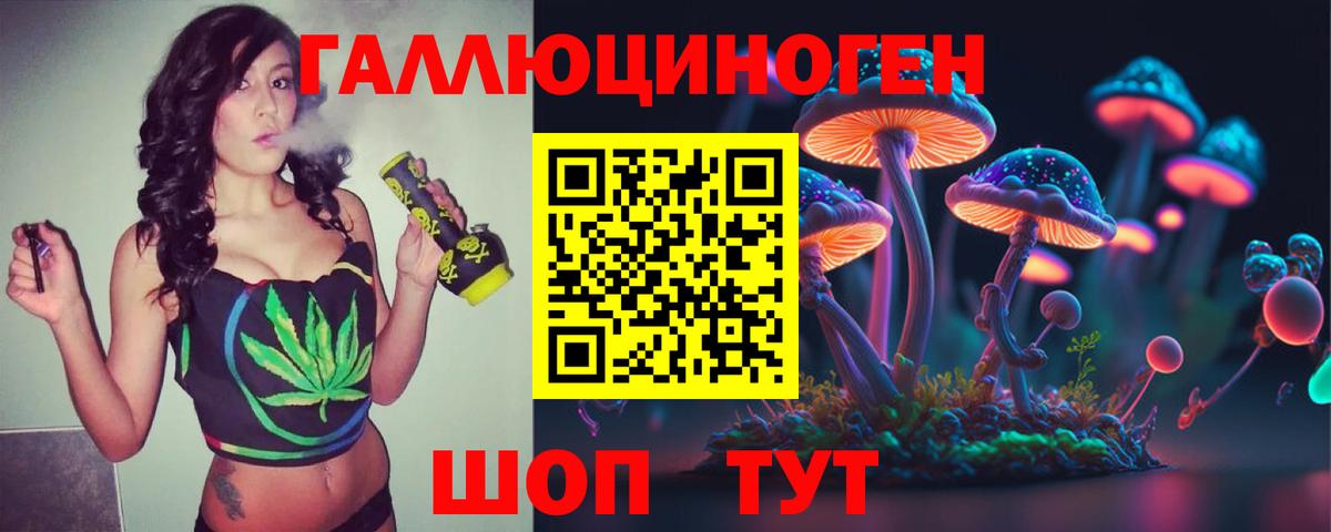 Новоалександровск  Галлюциногенные грибы Psilocybine cubensis  Вход с VPN 
