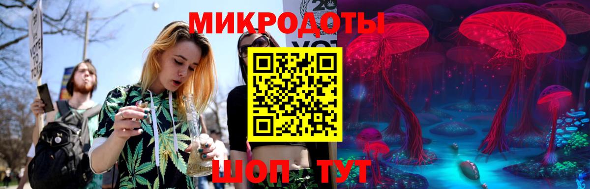Псилоцибиновые грибы мицелий Новоалександровск