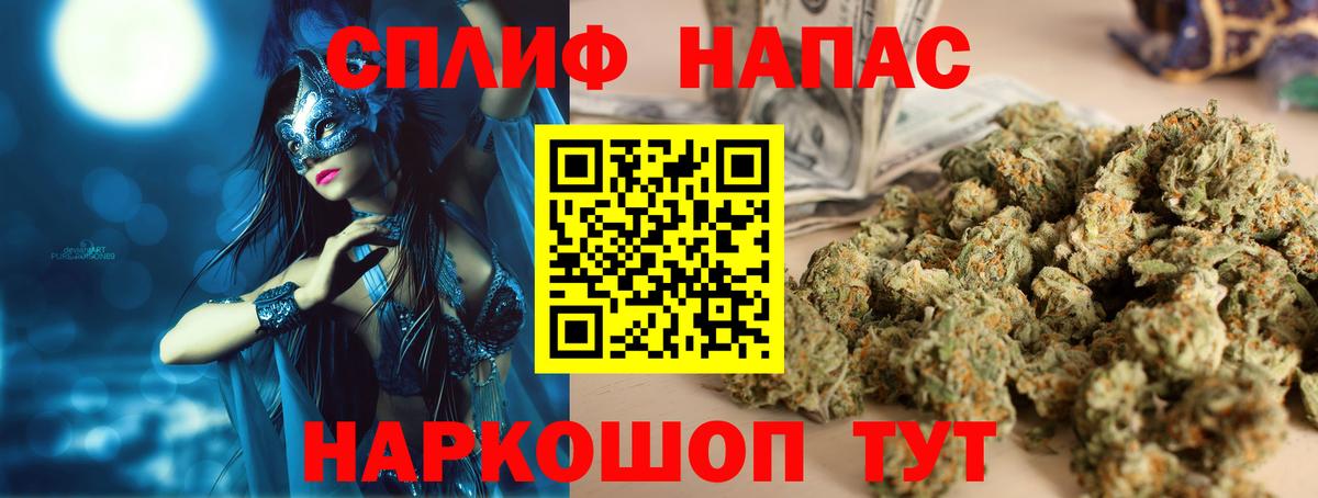 Конопля сатива Новоалександровск
